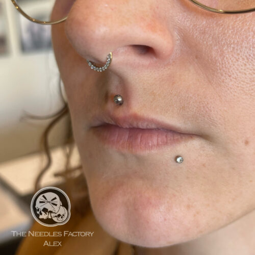 Piercing médusa réalisé par Alex de The Needles Factory